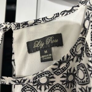 Lily Rose Monochrome Sunburst Dress